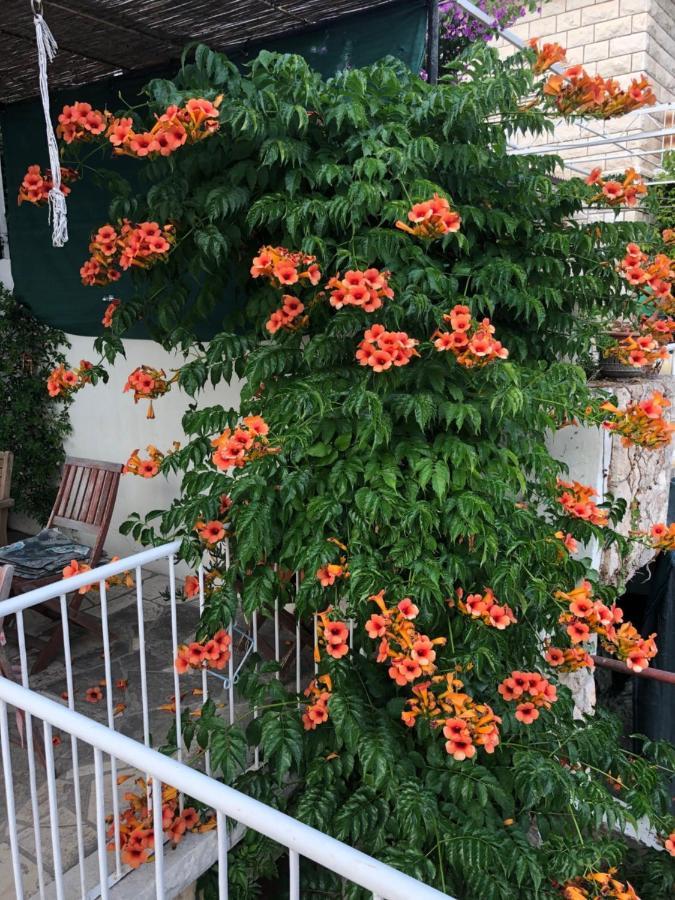 Cozy New Flat For 2 Or 3 Apartment Hvar Town Luaran gambar