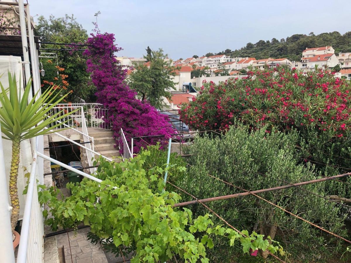 Cozy New Flat For 2 Or 3 Apartment Hvar Town Luaran gambar