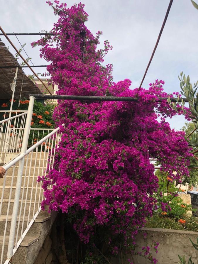 Cozy New Flat For 2 Or 3 Apartment Hvar Town Luaran gambar