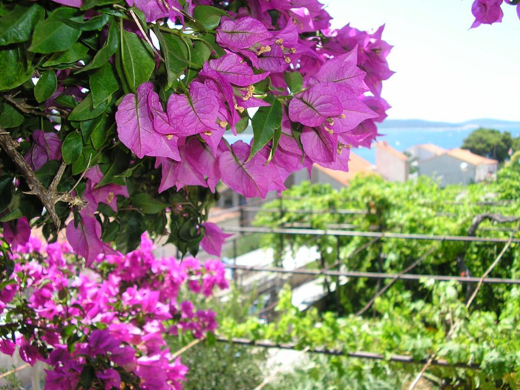 Cozy New Flat For 2 Or 3 Apartment Hvar Town Luaran gambar
