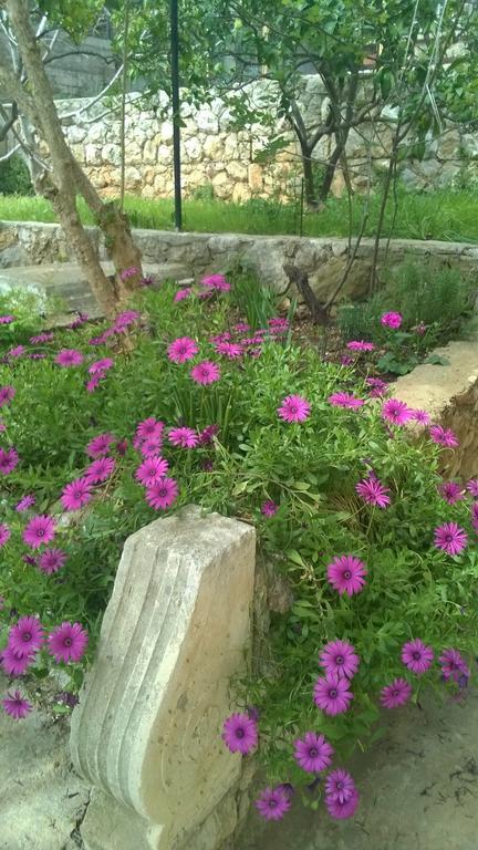Cozy New Flat For 2 Or 3 Apartment Hvar Town Luaran gambar